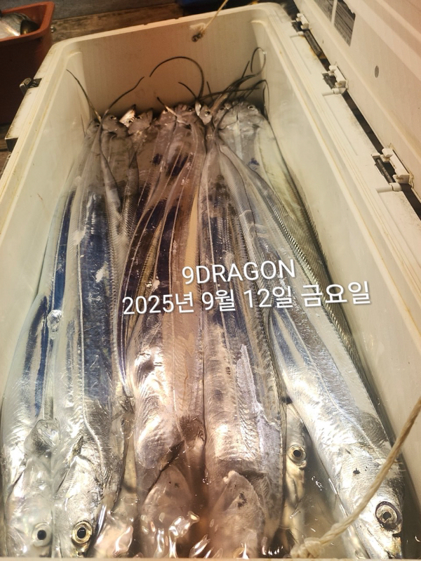 A0317DA6-BDAB-43FA-9061-45D74A8BF4C0.jpeg