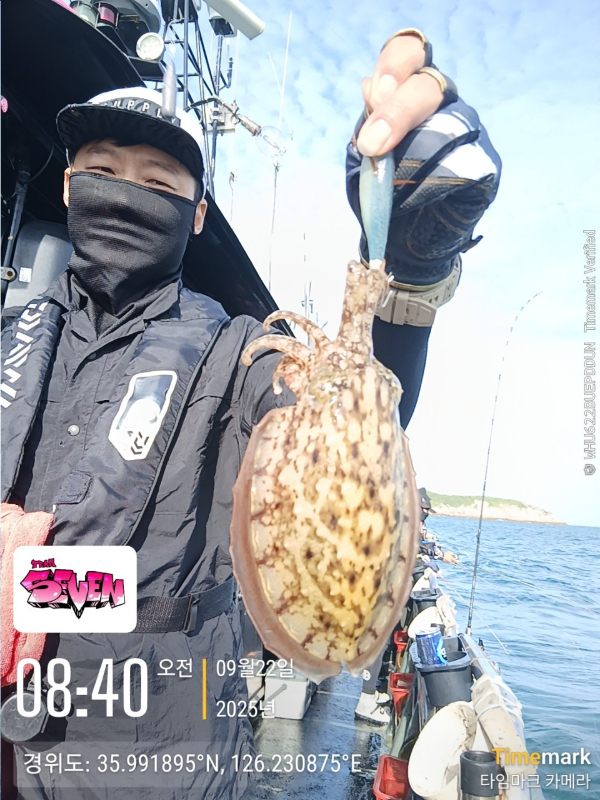 b_7jdUd018svc18xzidtfku6am_82sd02.jpg