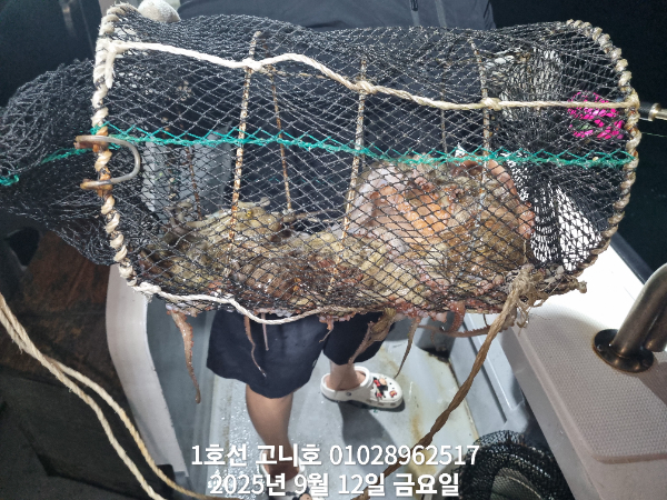 e3163fd160e973b0b1a0683a030932aa.jpg