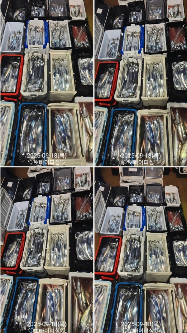 e3198d34a26a2699d13ced9ed7e39d20.jpg