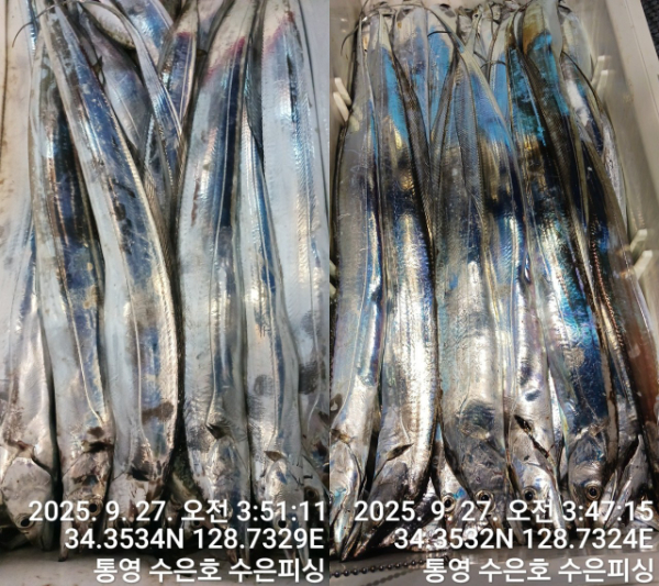 1000038574.jpg