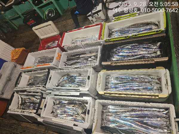 KakaoTalk_20250928_162921439_14.jpg