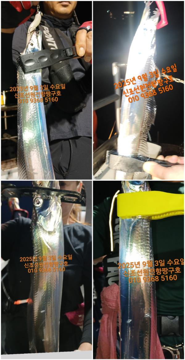KakaoTalk_20250904_043723669.png