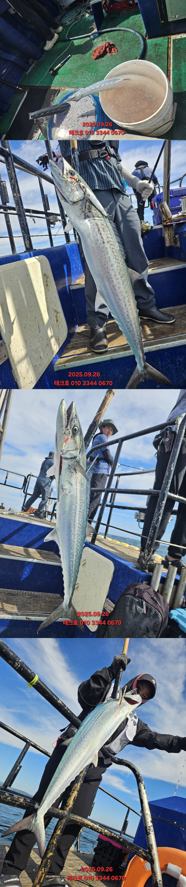 KakaoTalk_20250926_155949229_01-vert.jpg