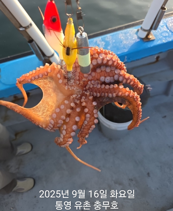 e3c558d1ab6587d17b7ec04a5b396245.jpg