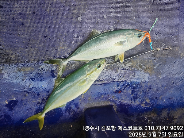 e4dae6225bfb221a2a5b3b96a7221267.jpg