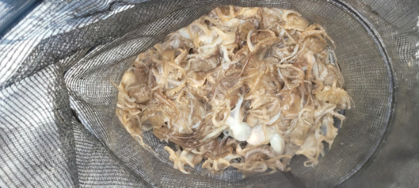 예지퀸호 농어외수질&어초낚시 경기인천권_사진_20250927_11.jpg