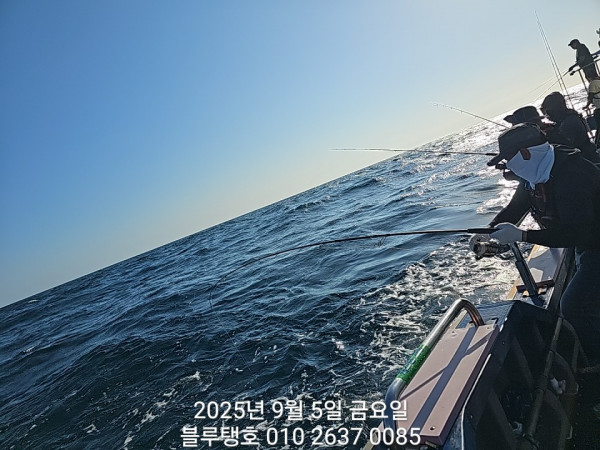 20250905_075811.jpg