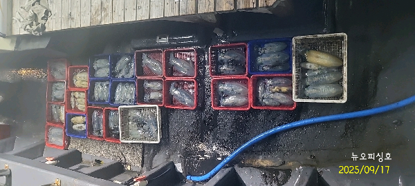 DateCamera0917004329.jpg