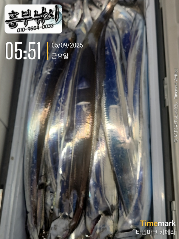 1757023096124.jpg
