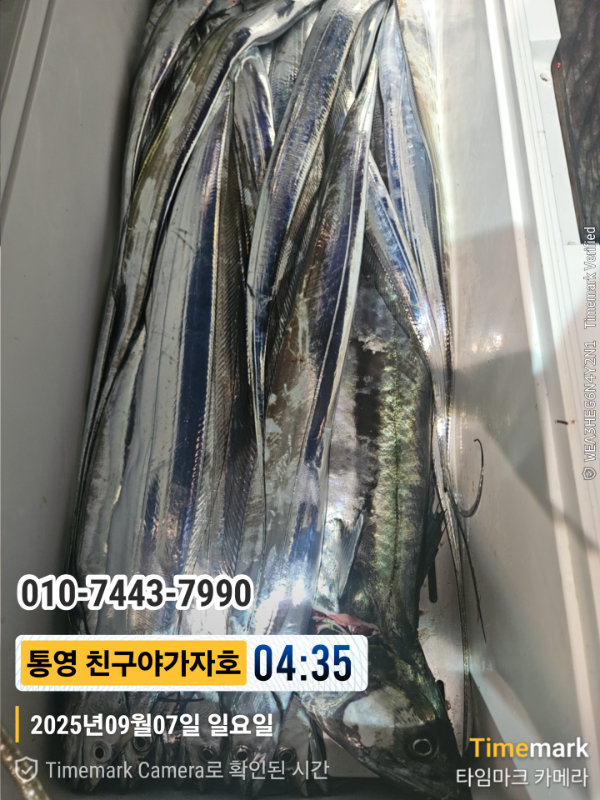 1000028235.jpg