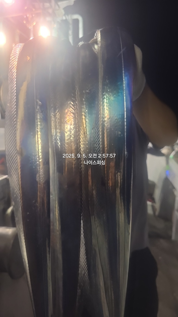 1757009749170.jpg