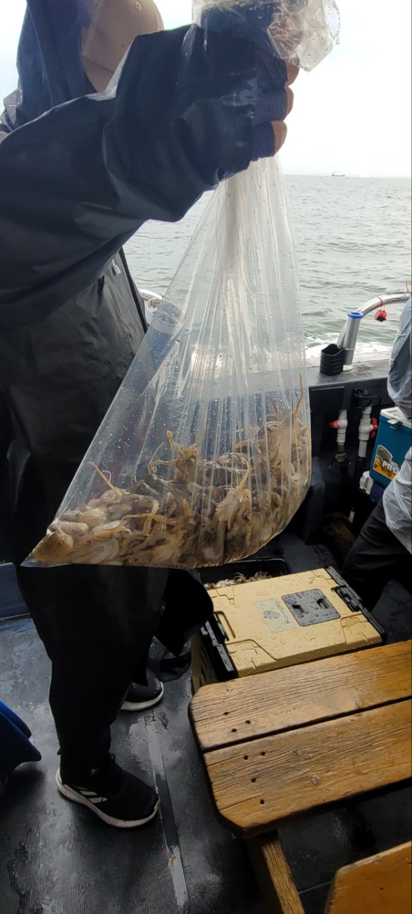 예지퀸호 농어외수질&어초낚시 경기인천권_사진_20250916_9.jpg