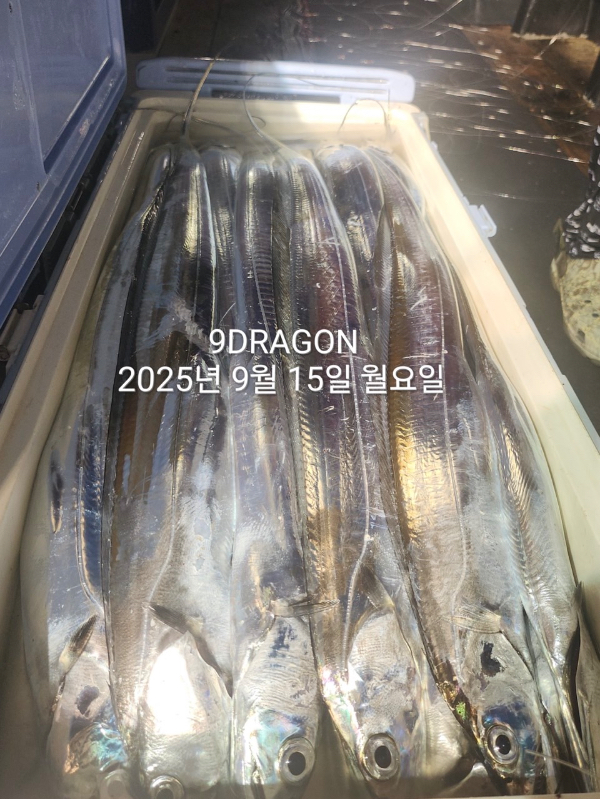 AC6370AF-D868-4132-8341-C83711609542.jpeg