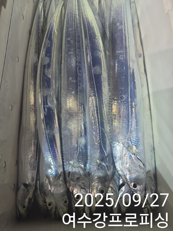 e95ca74ba48735da861999b5893dfaeb.jpg