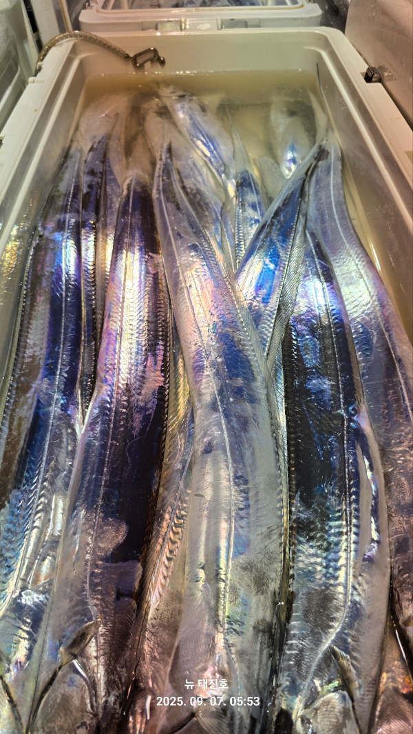 e9ebe625c784dd43504aeb9ee664b995.jpg