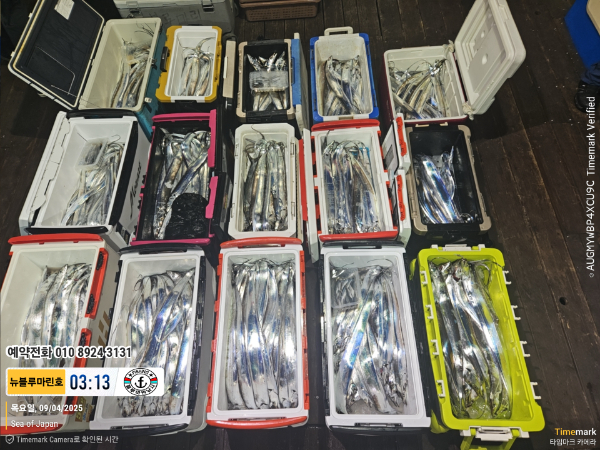 2025-09-04 03.13.29_Japan_(제목-뉴블루마린호)_(예약전화 010 8924 3131).jpg