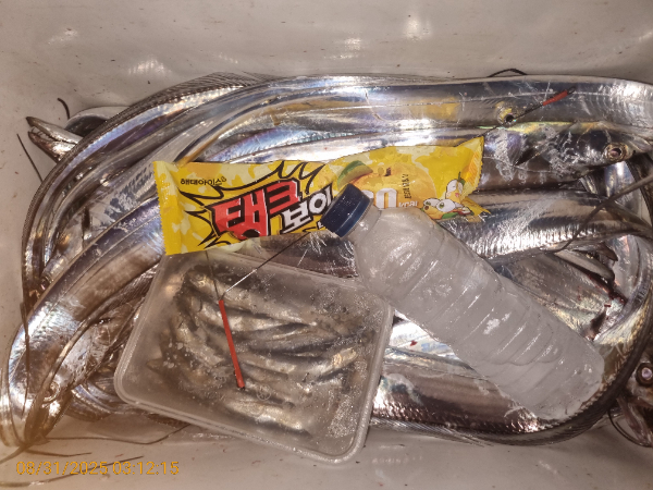 ea7defbb274d83971a9d67886a09e191.jpg