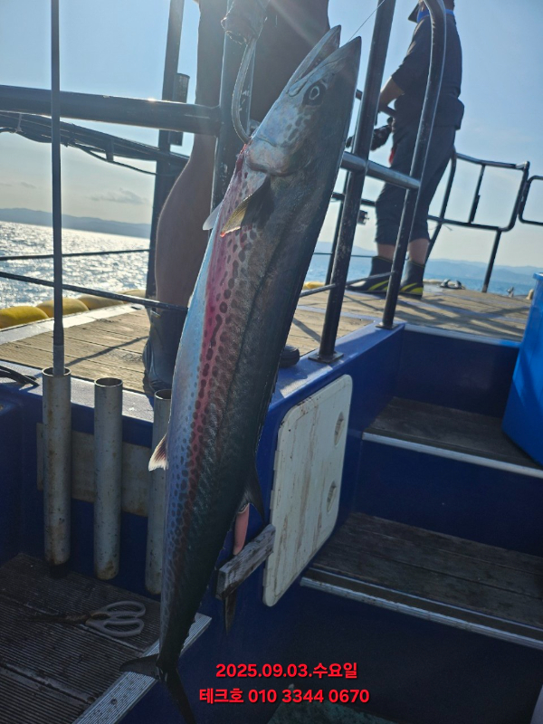 KakaoTalk_20250903_174649766_11.jpg