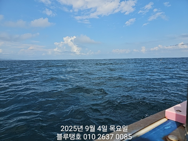 20250904_144922.jpg