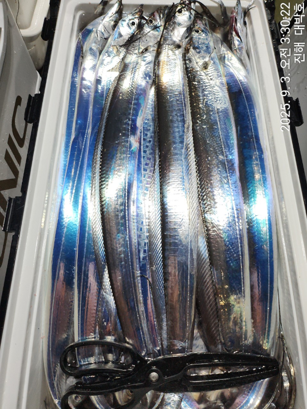KakaoTalk_20250903_080317966_16.jpg