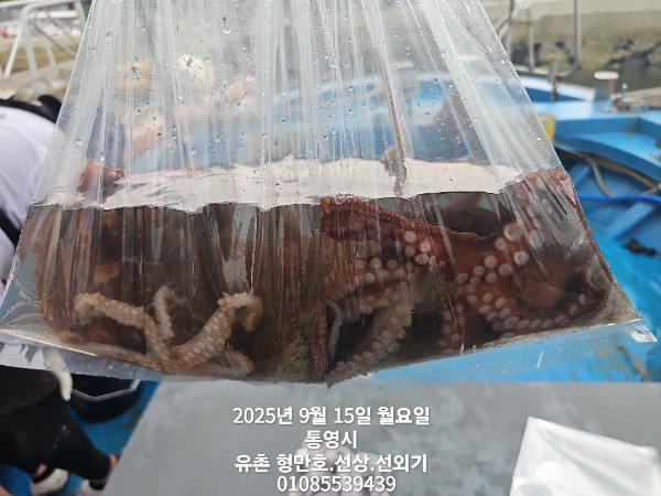 ecc35e795e93a1fded3021b067ad5dab.jpg