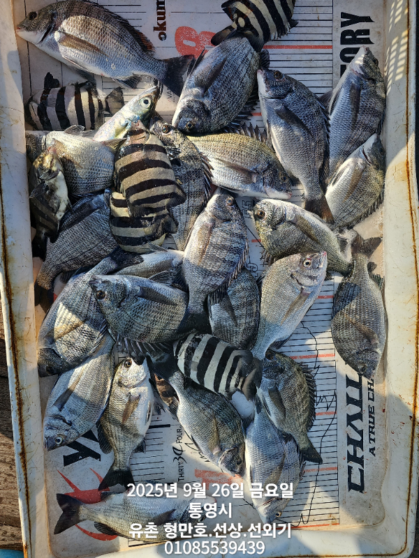 ed19cf65e7d30f2bdbf9c1408dd9a817.jpg