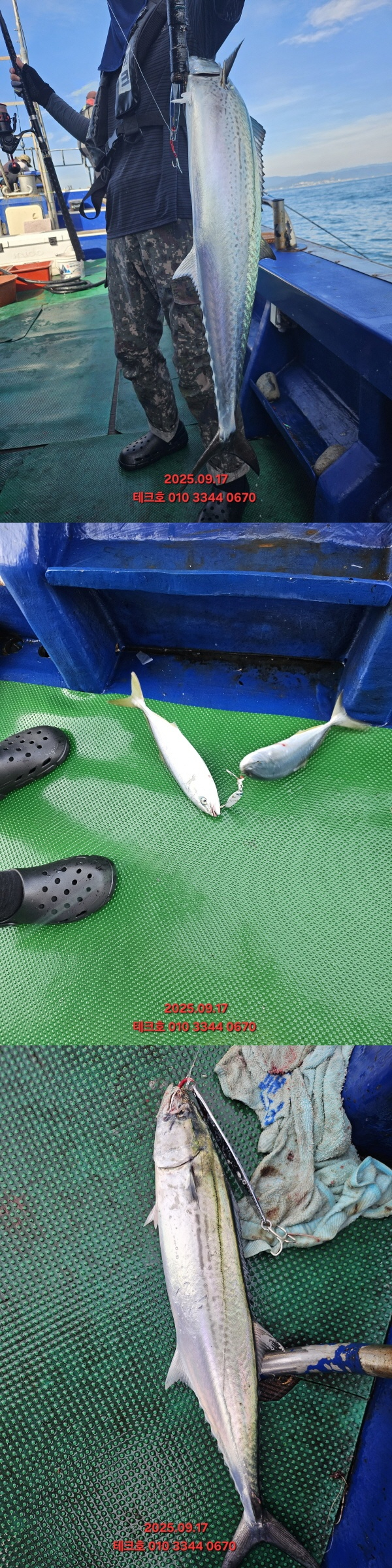 KakaoTalk_20250917_114849564_13-vert.jpg