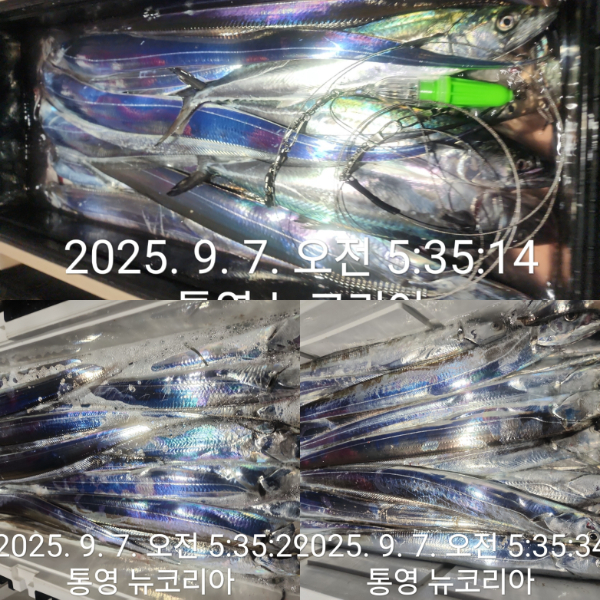 1000071702.jpg