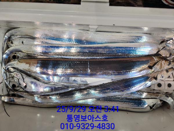 eec9585da1b6e75fb4831c9d7741a2f5.jpg