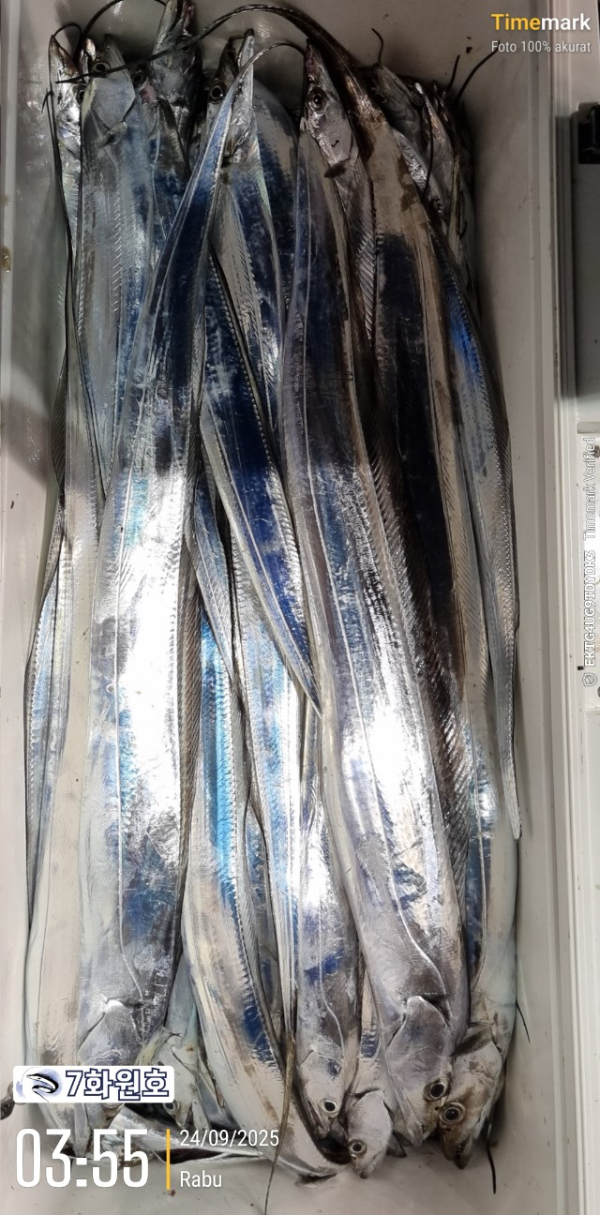 제주갈치낚시 화원호_사진_20250924_11.jpg