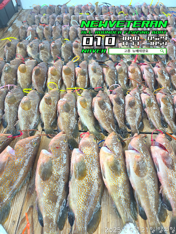 ef10dfb21843fced30f0c0e1664966ed.jpg