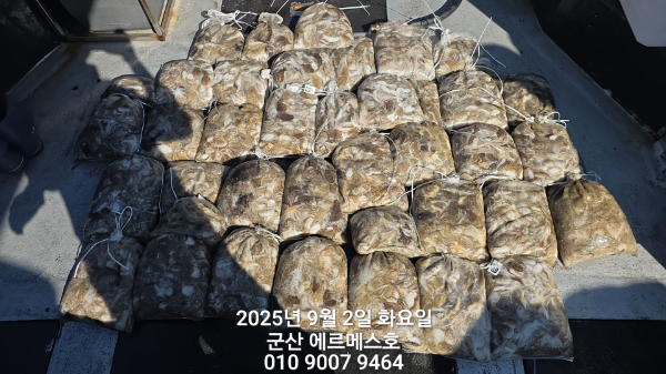 1000011253.jpg