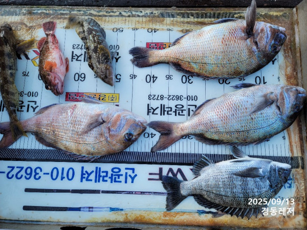 슬라이드0002.jpg