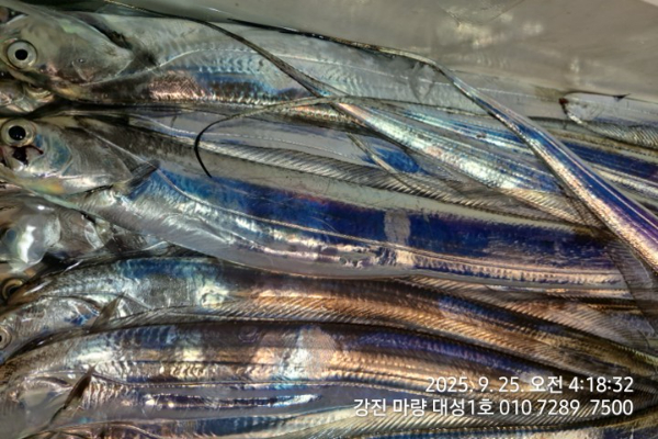 efcffa73f592ab9e00a28e8efb089531.jpg