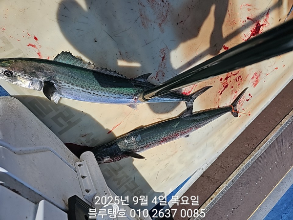 20250904_112535.jpg