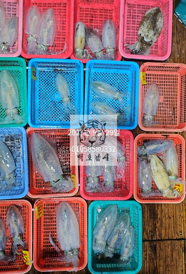 f02f3d111c7f8a3919dd27a89986137c.jpg