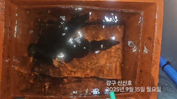 신신낚시 강구점 신신호_사진_20250915_12.jpg