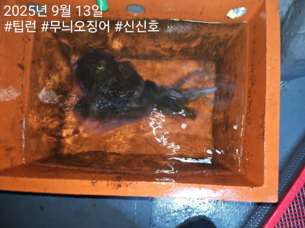 신신낚시 강구점 신신호_사진_20250913_10.jpg