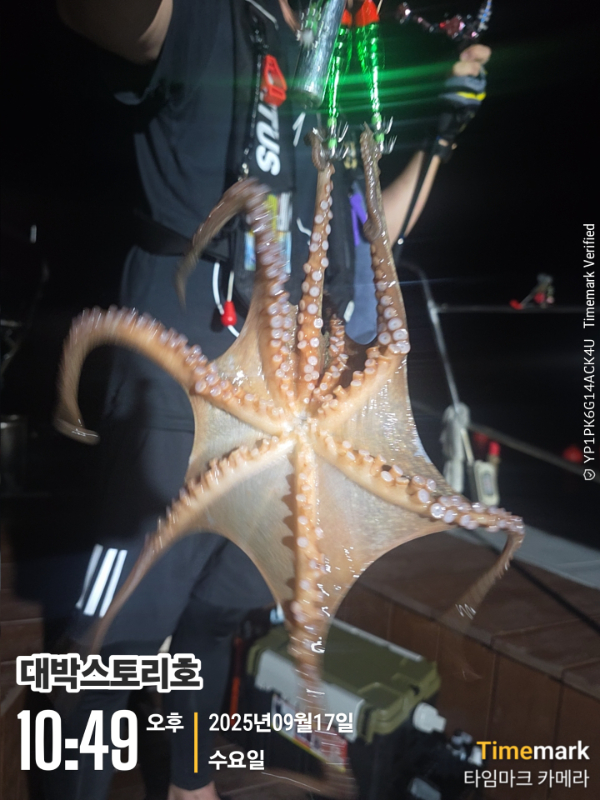 2025-09-17 10.49.41__(대박스토리호).jpg