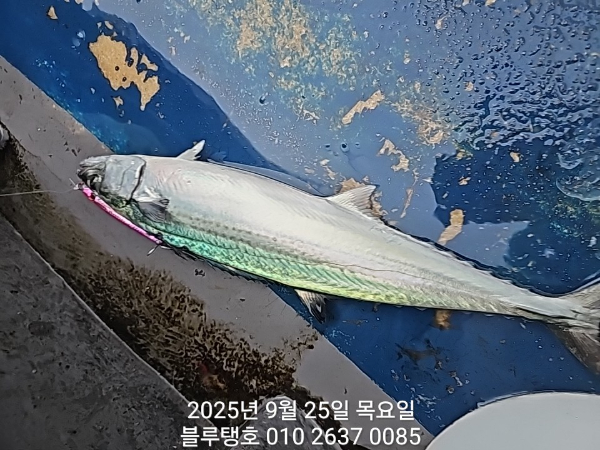 20250925_063840.jpg