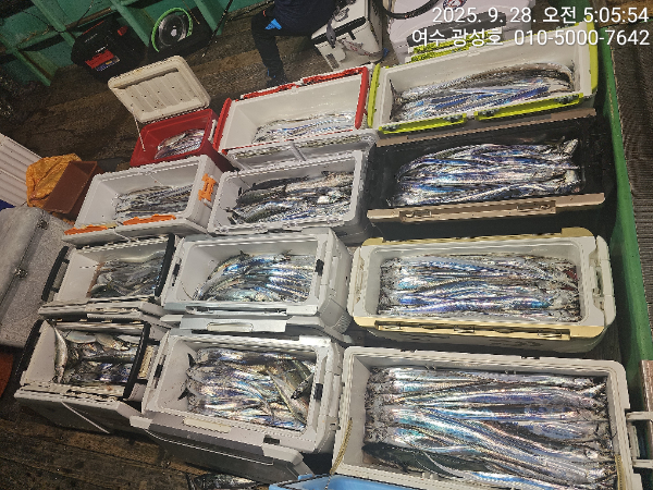 KakaoTalk_20250928_162921439_13.jpg
