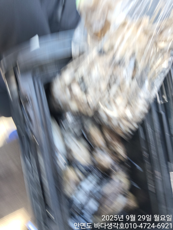 1000002141.jpg