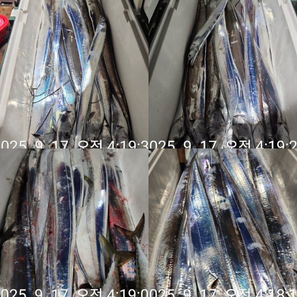 1000072347.jpg