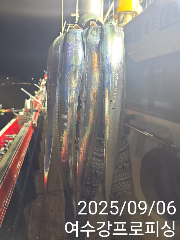f275649e6eef2ca8ecd484bf675ac663.jpg