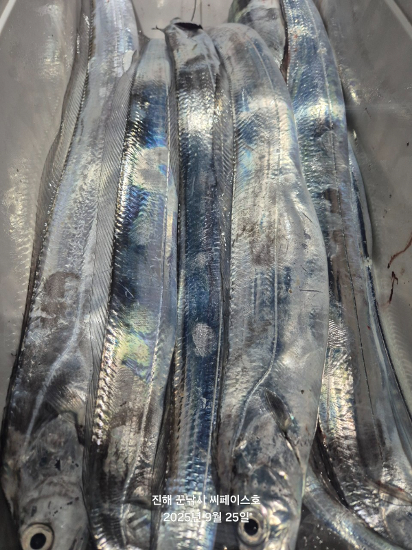 1000037760.jpg