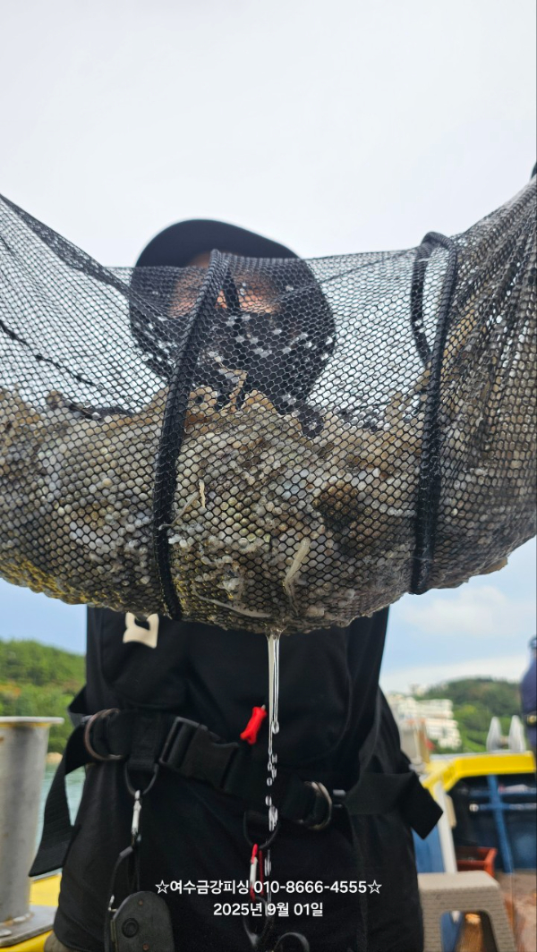 여수금강피싱_사진_20250901_5.jpg