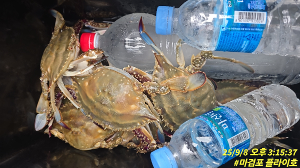 f3bc46fa43e47df0bcd8da8cd24bb685.jpg
