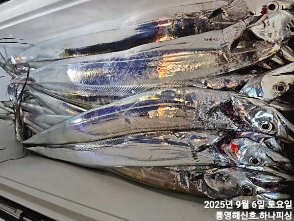 1757106145976.jpg