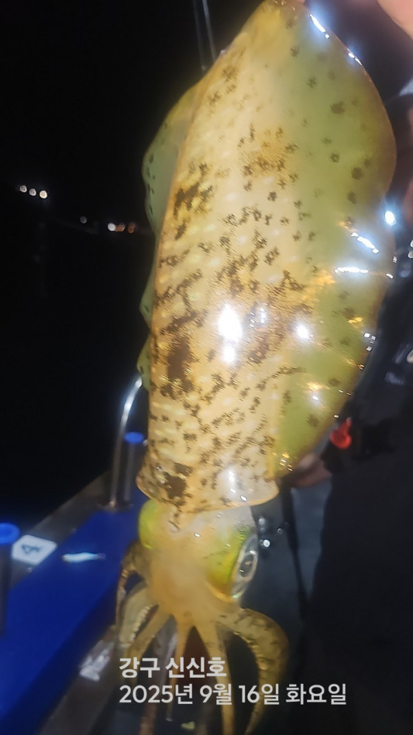 신신낚시 강구점 신신호_사진_20250917_1.jpg
